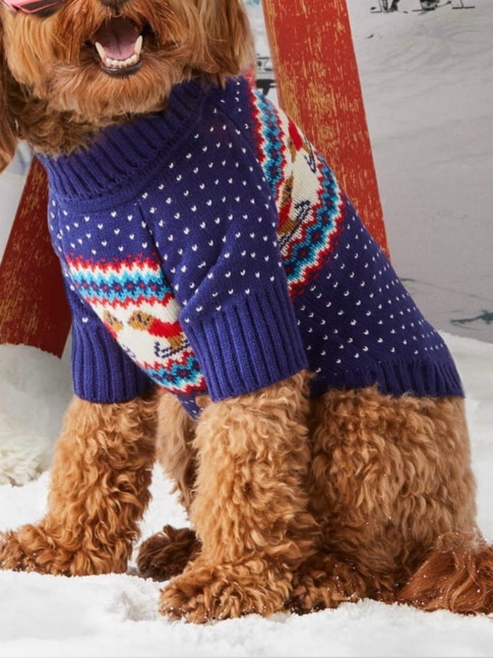 The Foggy Dog Sweater Gray Malin x TFD Hit the Slopes limited edition Knit Sz M